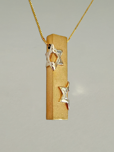 Vintage Judaica Two Tone Star of David Mezuzah Necklace