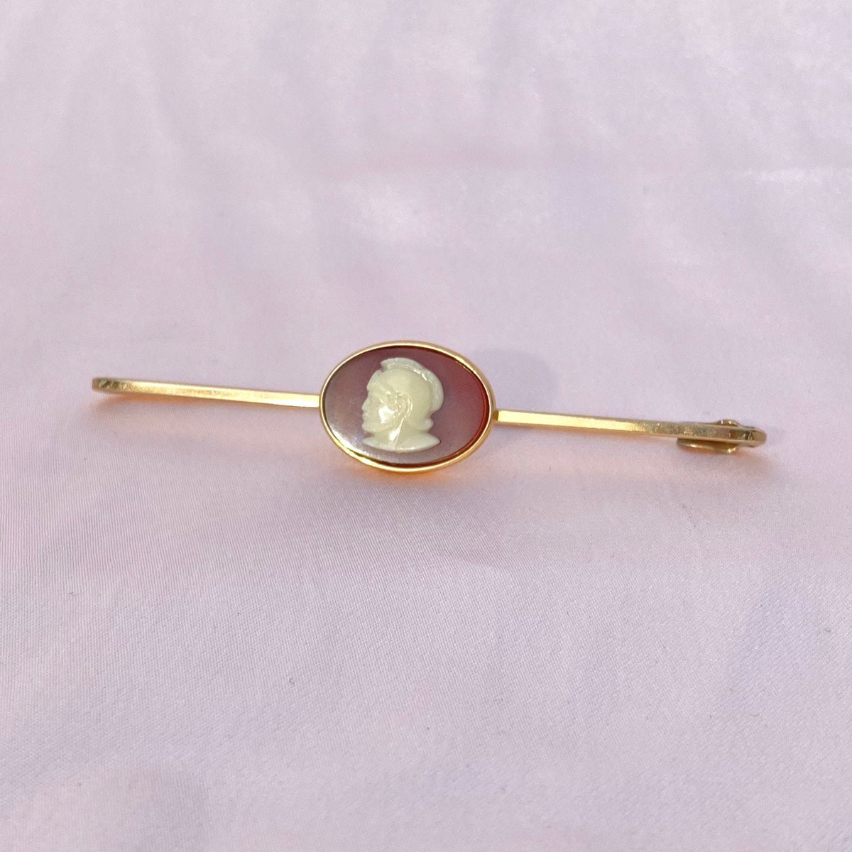 Vintage Mens Carnelian Cameo Tie Clip Brooch Pin